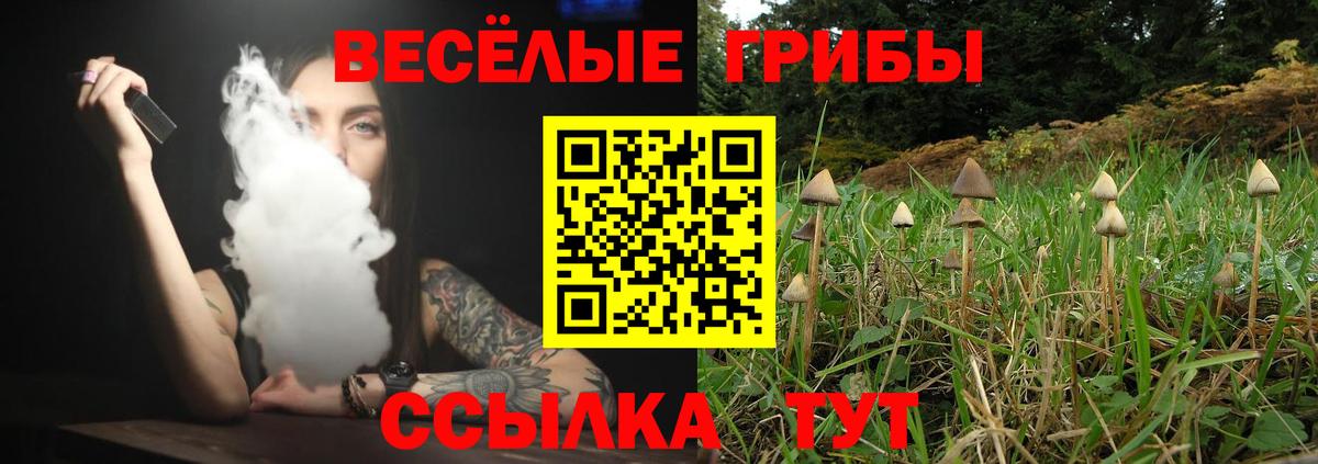 Бошки Шишки  Вход с VPN  ГАШ  КОКАИН  Фрязино  APVP СОЛЬ   Меф   ГАШ 