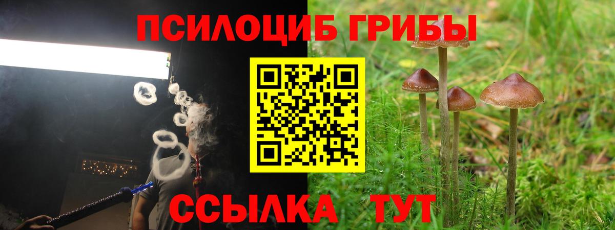 где можно купить   Псилоцибиновые грибы мицелий  Вход с VPN  Фрязино  Псилоцибиновые грибы ЛСД 