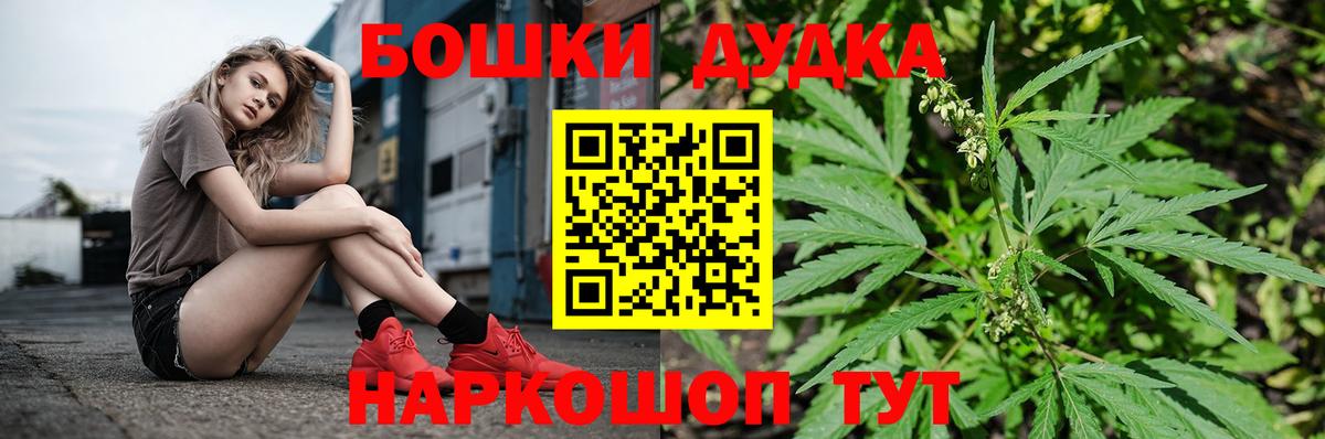 A PVP Фрязино