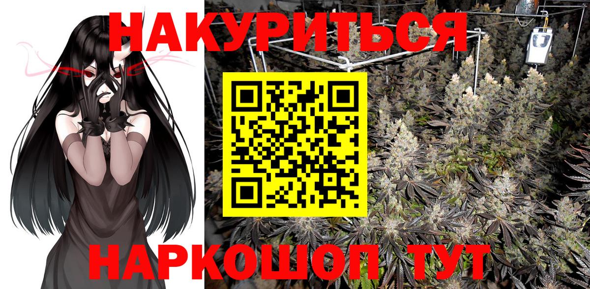МАРИХУАНА планчик Фрязино
